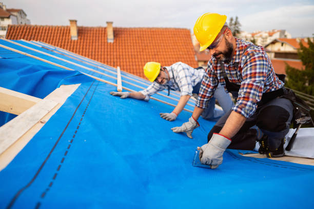 Best Sealant for Roof  in Hartselle, AL