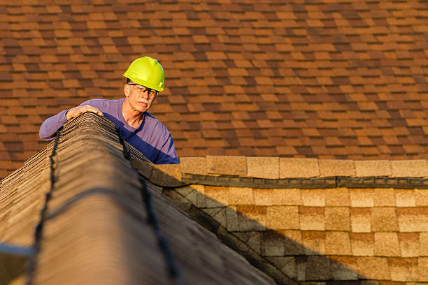 Best Storm Damage Roof Repair  in Hartselle, AL